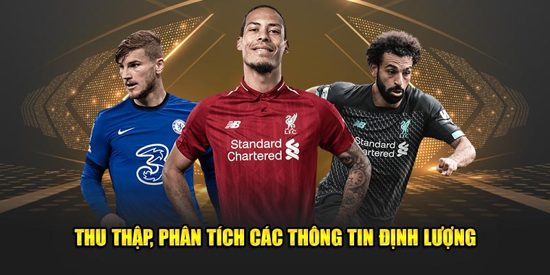 Thu thập, nghiên cứu dữ liệu phục vụ dự đoán