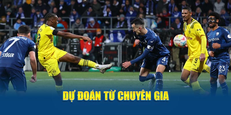 Dự đoán từ chuyên gia