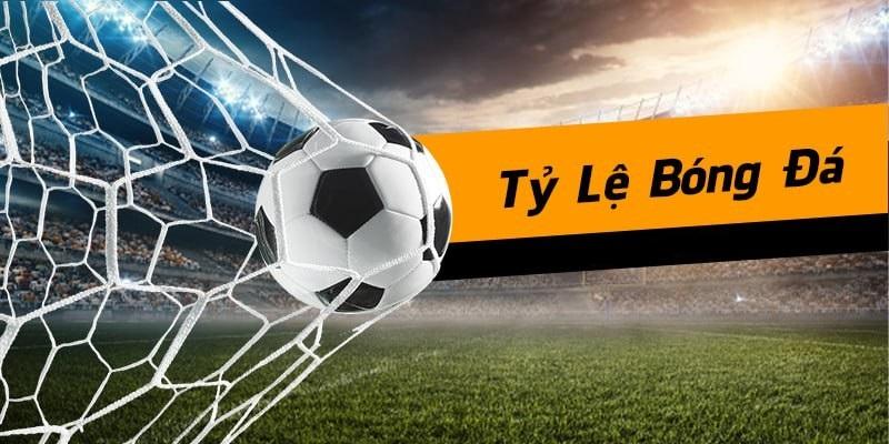 Để tham gia betting người chơi phải hiểu tỷ lệ odds