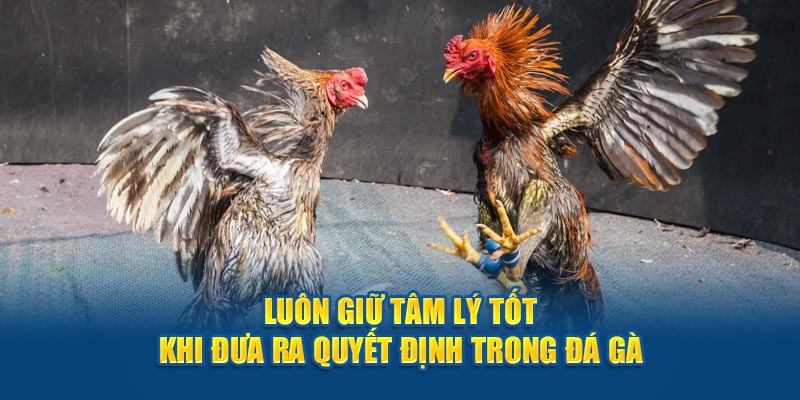 Luôn giữ tâm lý tốt khi đưa ra quyết định trong đá gà