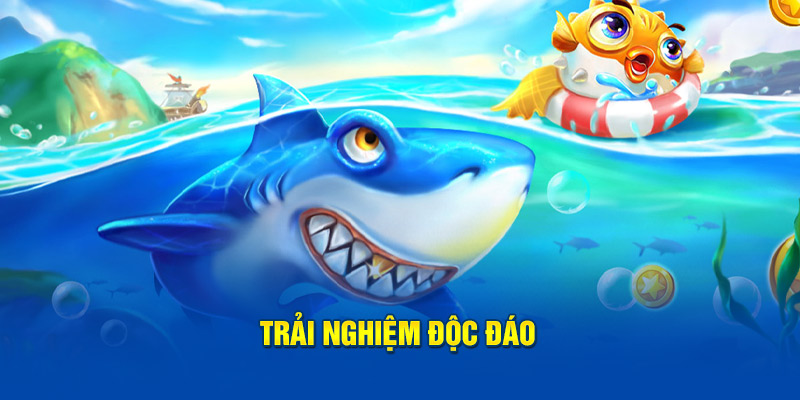 Trải nghiệm độc đáo 