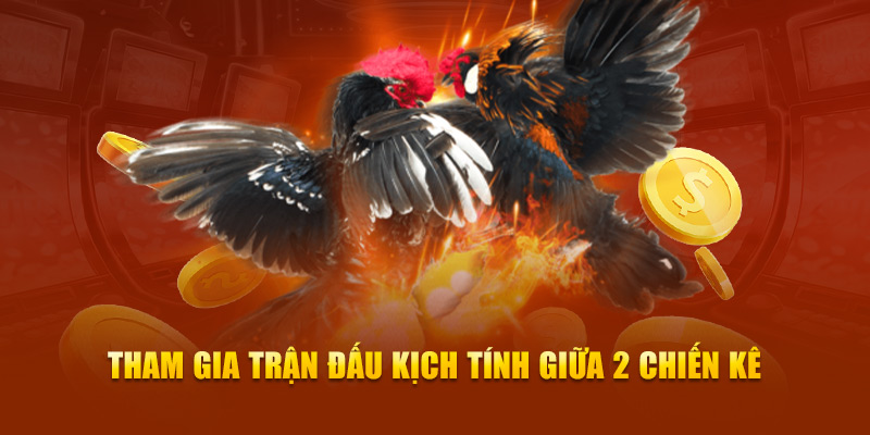 Tham gia trận đấu kịch tính giữa 2 chiến kê